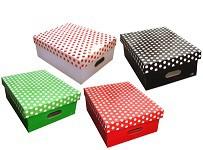 (002257) CAJA FSIA JR GRANDE Px10 COL SURTIDO 42x33x16