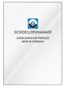 (022749) PAPEL VEGETAL A3 60g x10u 29.7x42cm PLANTEC